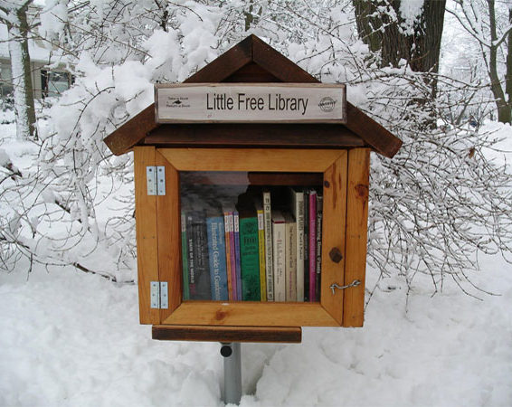 littlelibrarysnow