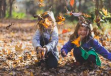 Fun Fall Activities To Connect To Nature
