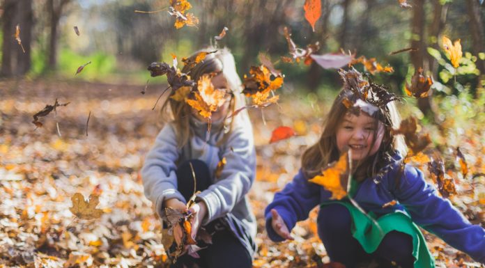 Fun Fall Activities To Connect To Nature