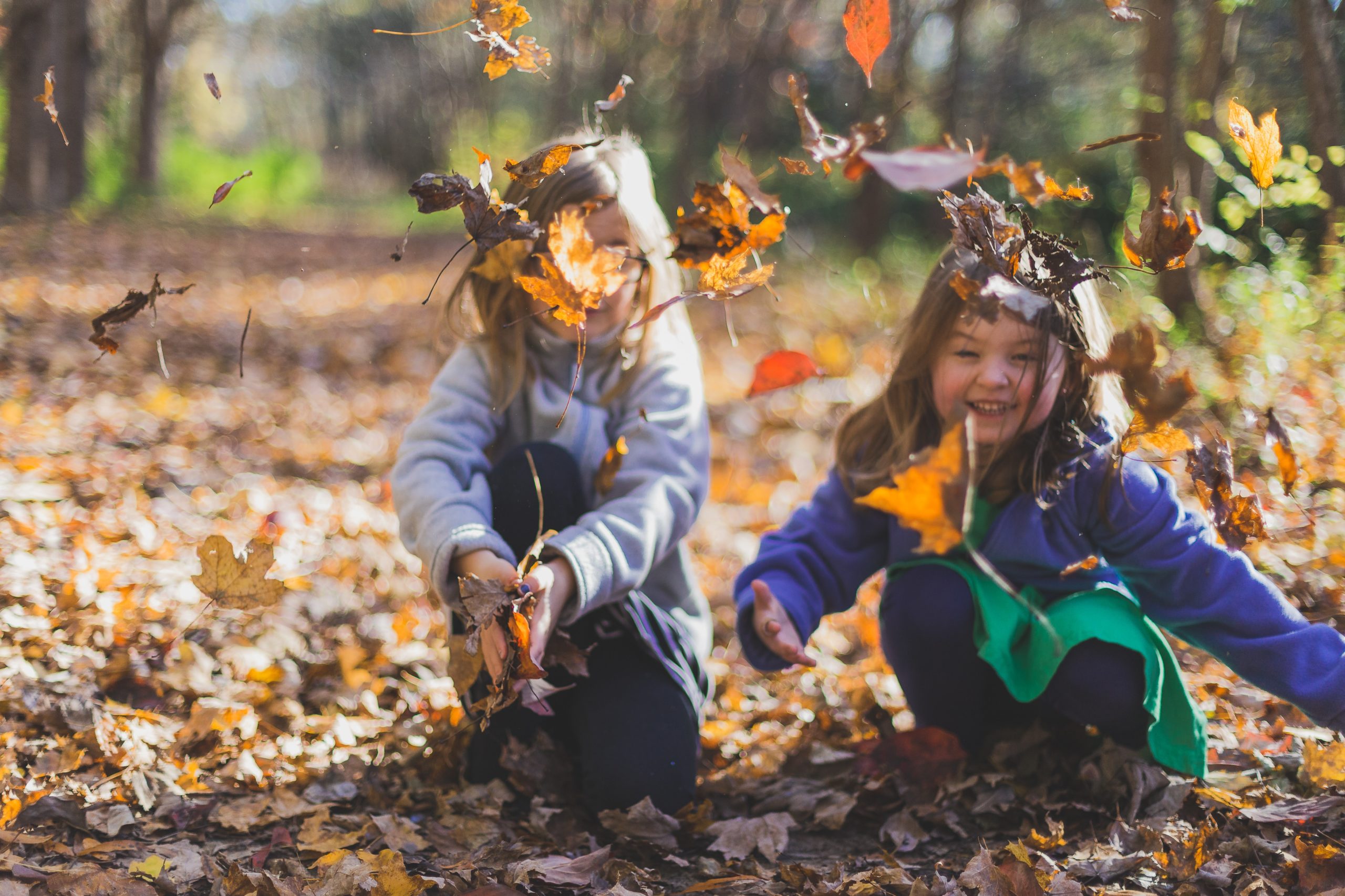 Fun Fall Activities To Connect To Nature