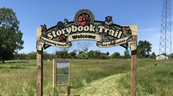 More than 20 Story Book Trails to Check Out in Toledo