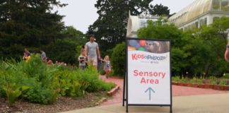 Toledo Zoo Sensory Area