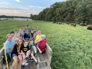 Bison in Ohio!