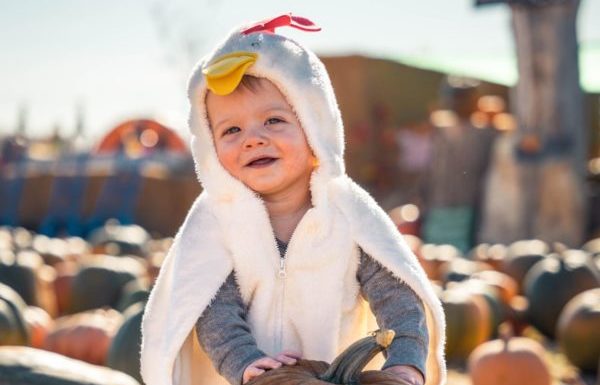 A child in a halloween costume