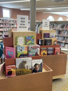 A collection of books on display at the library.
