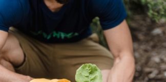 A person planting a plant in the soil.