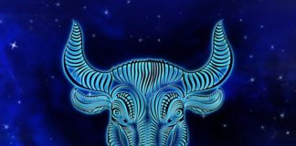 A graphic of a bull constellation.