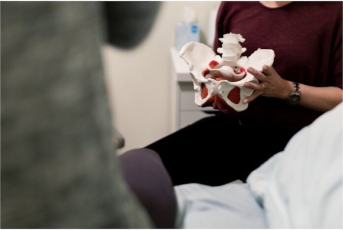 pelvic floor Large Large A person at a doctor appointment.