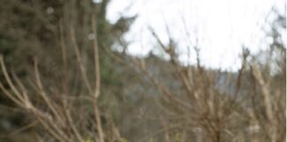 A child riding a bike.