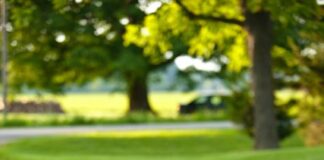 A child walking to school with a backpack on.