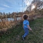 A nature photo of a park.