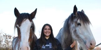 woman with two horses