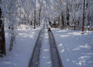 toboggan run 