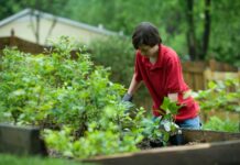 8 Reasons Why You Should Start a Garden With Your Teen teenager gardening