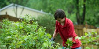 teenager gardening