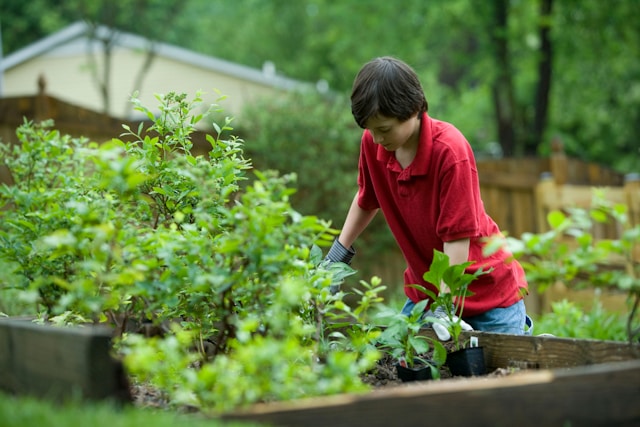 teenager gardening
