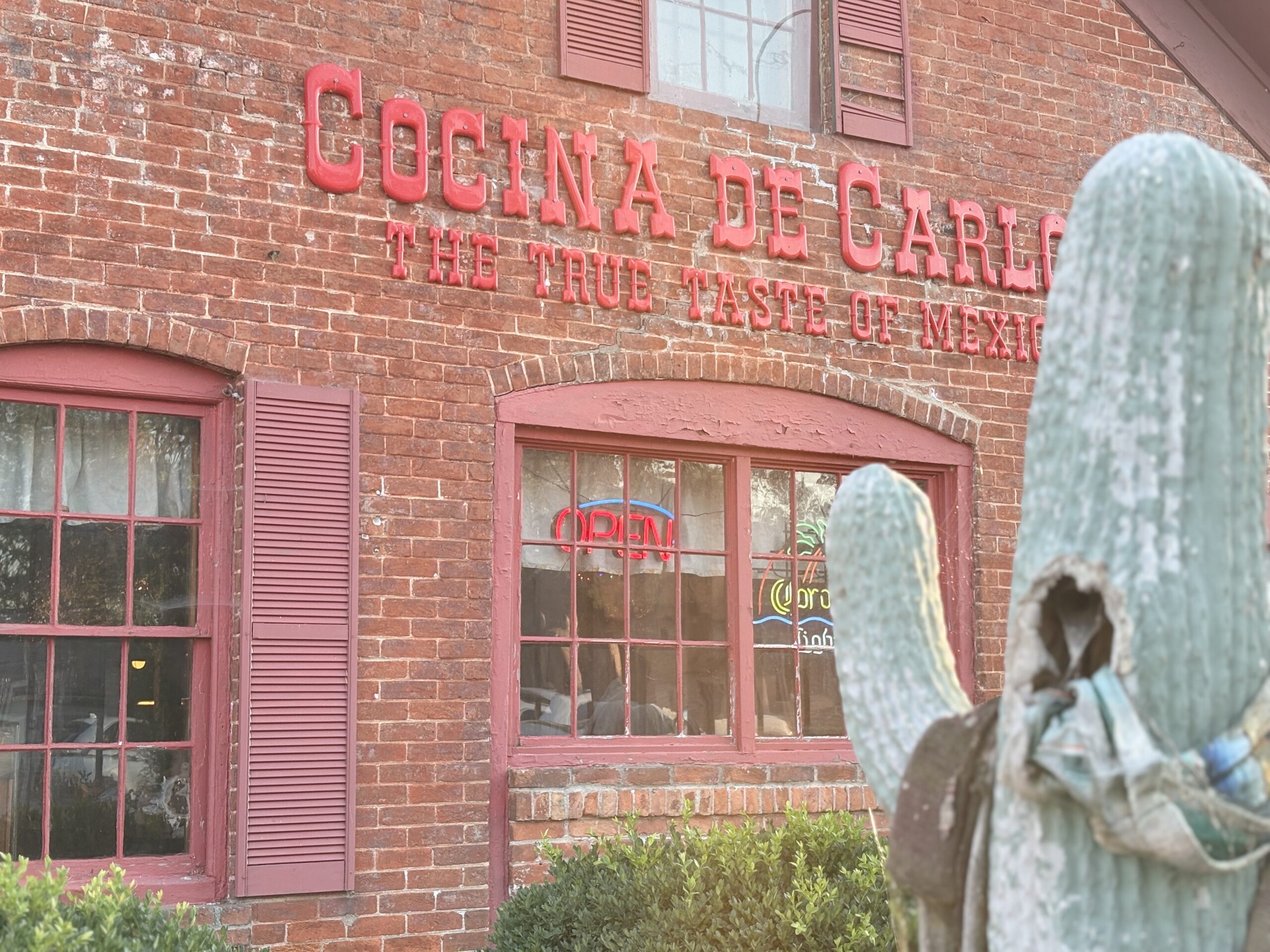 Savor the Flavor at Cocina De Carlos