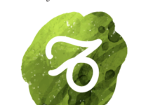 Kids Astrology 2026: Capricorn (December 22 – January 19)