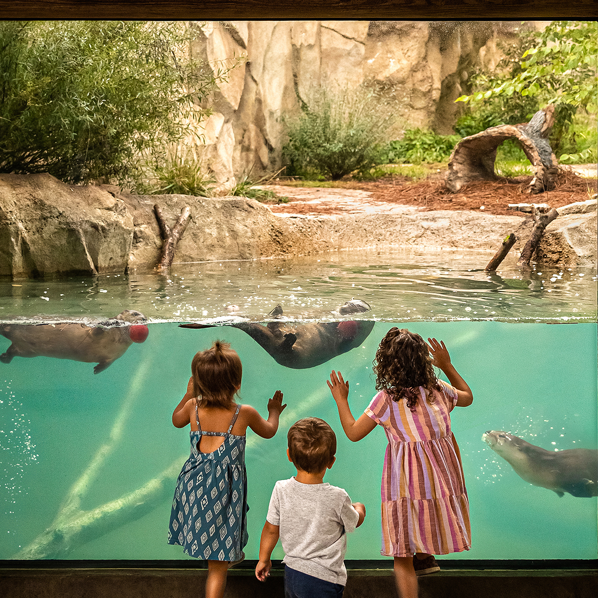 Summer Fun & Day Trips in the Toledo Area