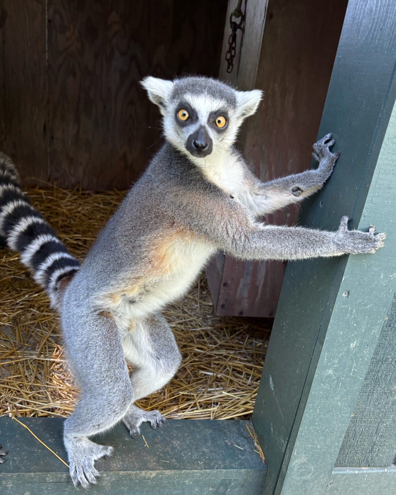 African Safari Wildlife Park Ticket Giveaway