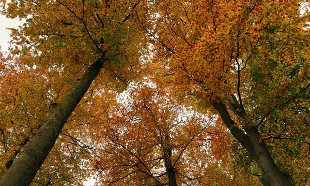 The Ultimate Weekend Guide to Toledo’s Metroparks